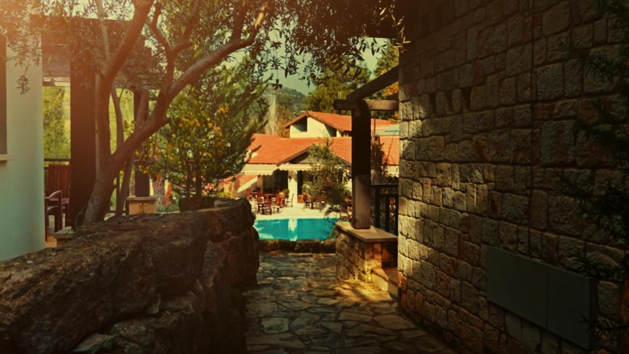 Secret Forest - Wellness Retreat & Healing Spa (Adults Only) Miliou Exterior photo