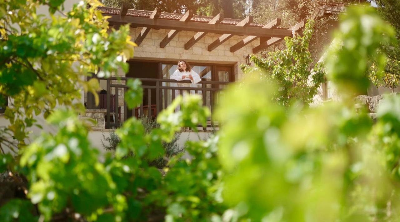 Secret Forest - Wellness Retreat & Healing Spa (Adults Only) Miliou Exterior photo