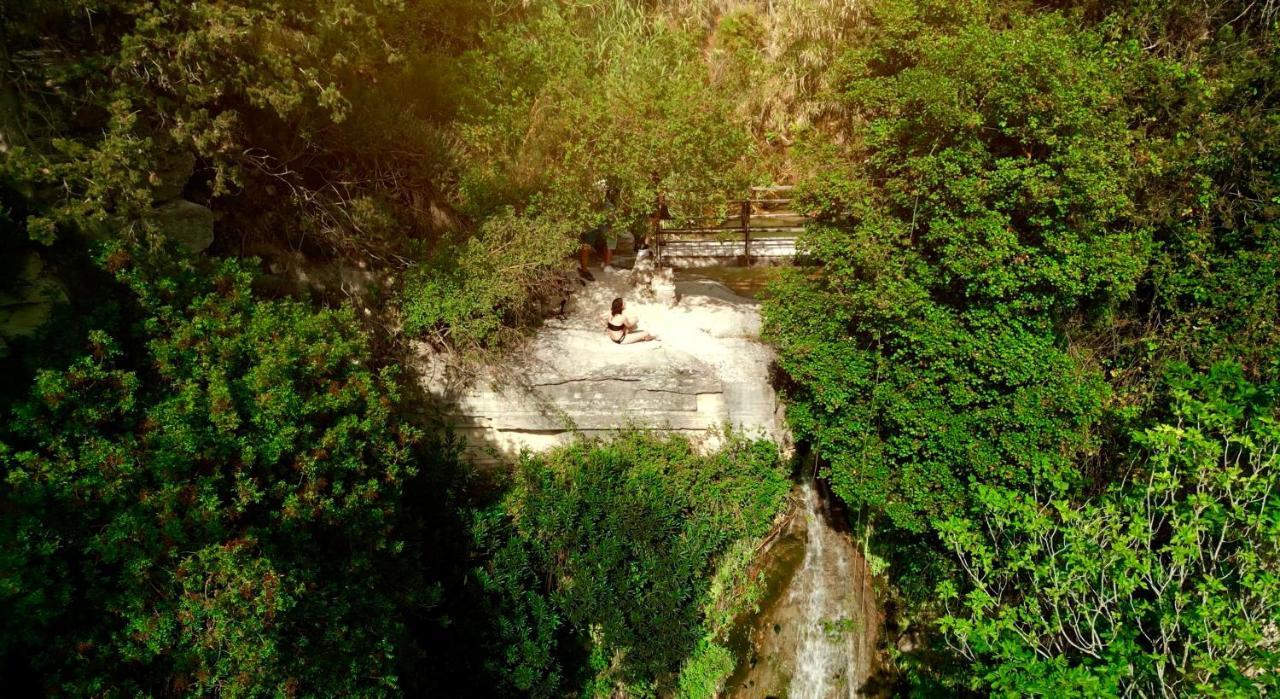 Secret Forest - Wellness Retreat & Healing Spa (Adults Only) Miliou Exterior photo