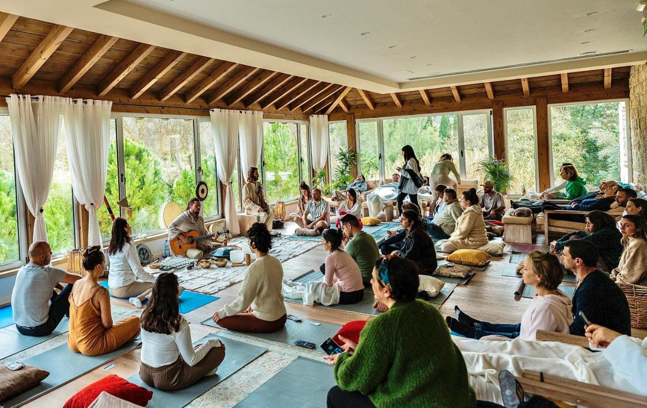 Secret Forest - Wellness Retreat & Healing Spa (Adults Only) Miliou Exterior photo